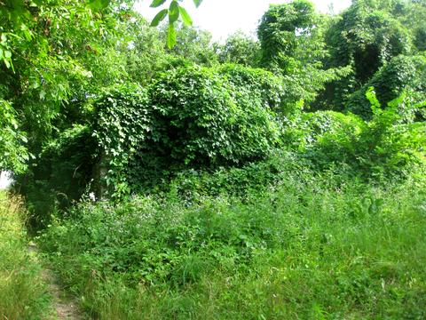 участок по адресу 