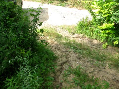 участок по адресу 