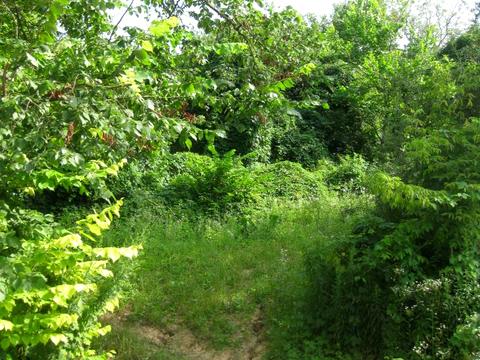 участок по адресу 