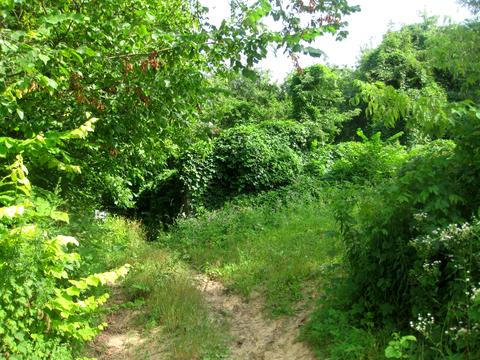 участок по адресу 