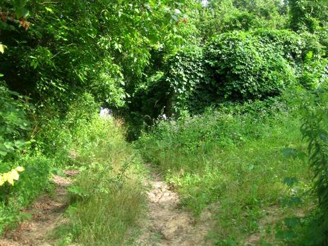 участок по адресу 