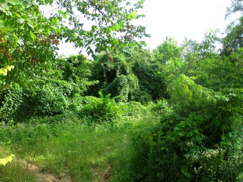 участок по адресу 