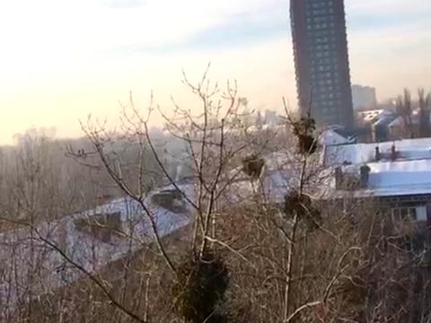 квартира по адресу Елены Телиги ул., 35-Д