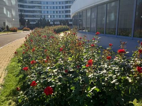 квартира по адресу Литературная ул., 1а