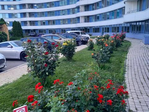 квартира по адресу Литературная ул., 1а