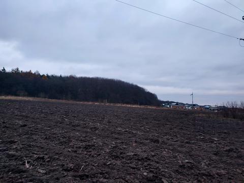 участок по адресу с. Давыдов, 