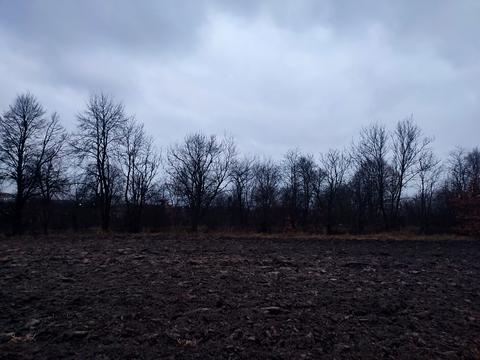 участок по адресу с. Давыдов, 