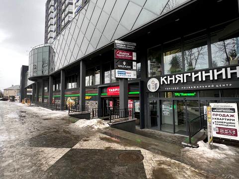 коммерческая по адресу Княгинин ул., (Будинок 15)