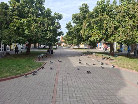 комерційна за адресою Біла Церква, Таращанська вул., 191А