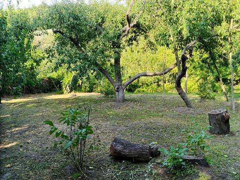 будинок за адресою Михайла Грушевського