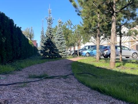 квартира за адресою Богдана Хмельницького вул., 25-А