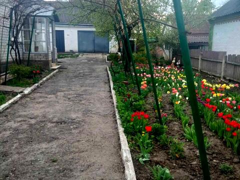 будинок за адресою Чумацька