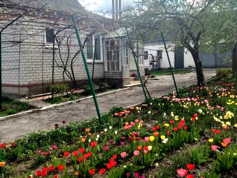 будинок за адресою Чумацька