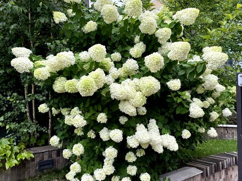 квартира по адресу Берестейский просп. (Победы), 26