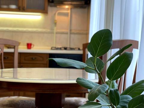 квартира за адресою Стрілецька вул., 7/6