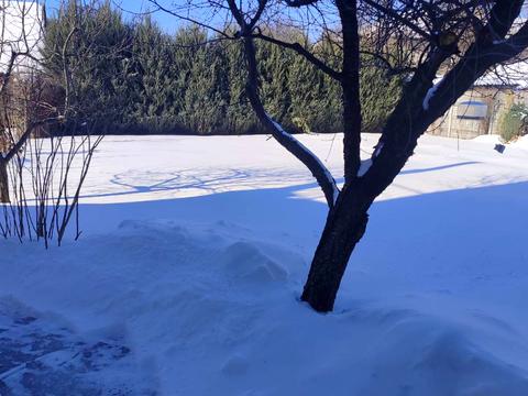 дом по адресу 1-го Мая просп., 239