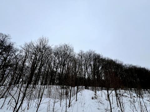 квартира за адресою Лісогринівецька вул., 4/1