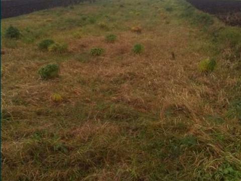 участок по адресу 