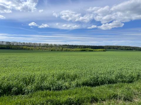 ділянка за адресою 