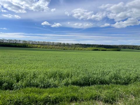 ділянка за адресою 