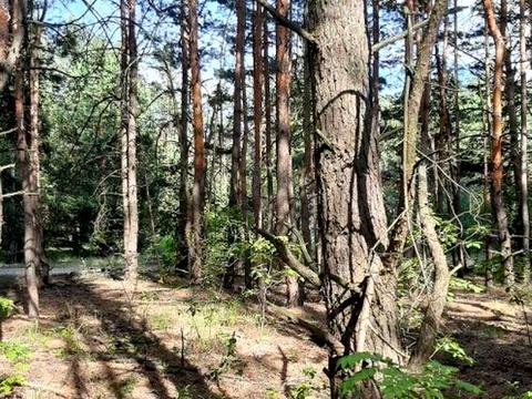 ділянка за адресою Київ, 