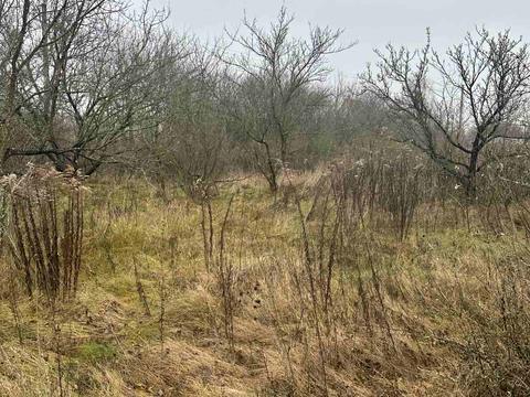 будинок за адресою Мантачівська