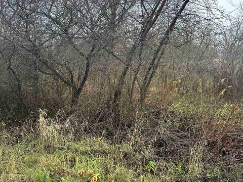 будинок за адресою Мантачівська