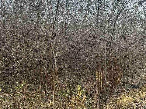 будинок за адресою Мантачівська