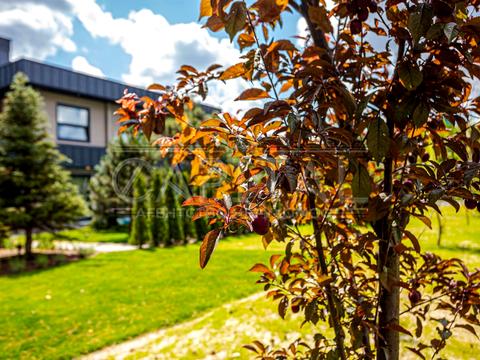 будинок за адресою Боярка, Сосновий пров.