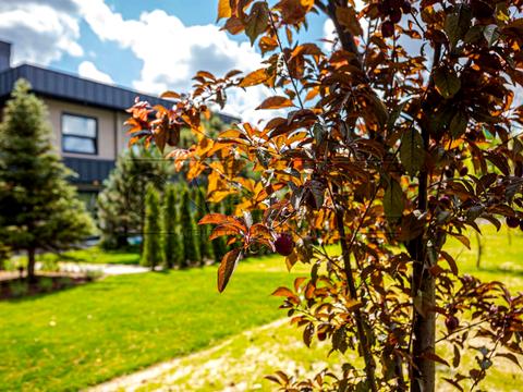 будинок за адресою Боярка, Сосновий пров.