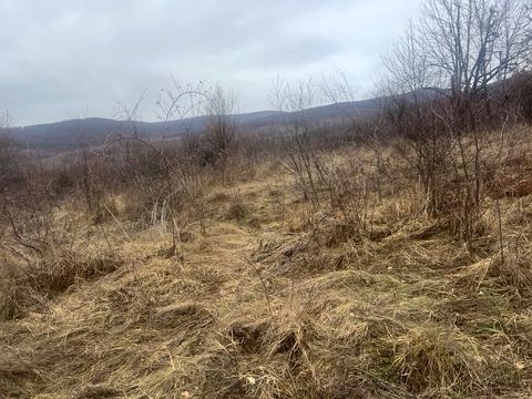 участок по адресу Нова