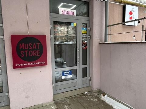 комерційна за адресою Лесі Українки бульв., 12