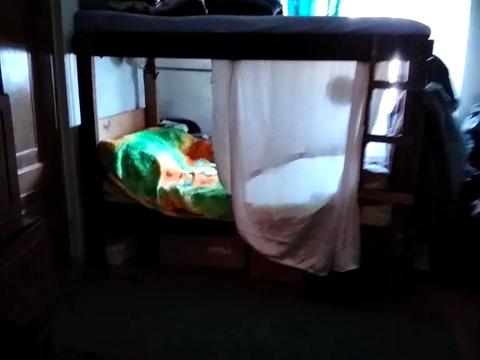 дом по адресу Возрождения ул., 16