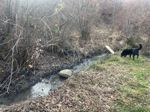 участок по адресу Садова, 43