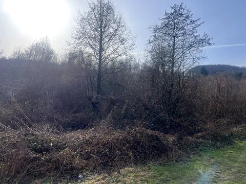 участок по адресу Садова, 43