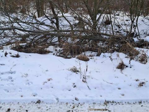 ділянка за адресою 