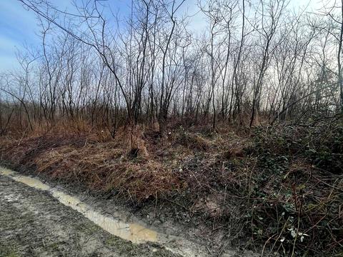 ділянка за адресою 