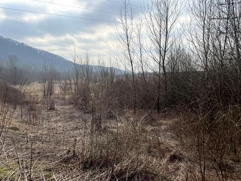 участок по адресу Ужанська