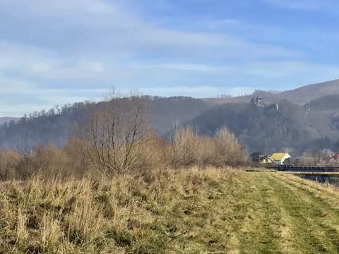 участок по адресу Рибник