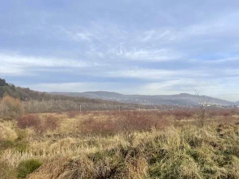 участок по адресу Рибник