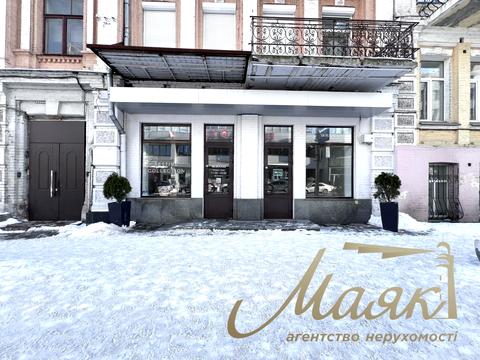 комерційна за адресою Шота Руставелі вул., 15