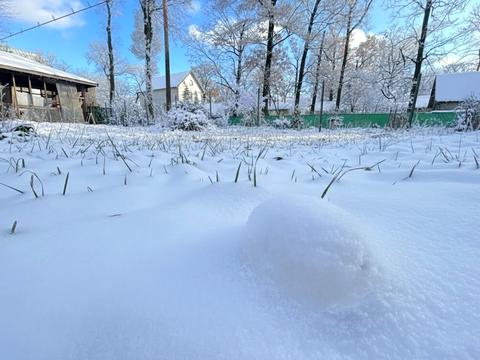 ділянка за адресою Кленова вул., 29-а