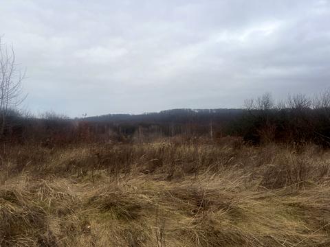 участок по адресу Поляна