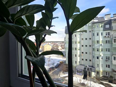 квартира за адресою Івана Дяченка вул., 20