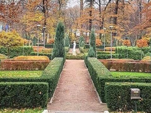 квартира за адресою Антонія Михайловського вул., 8-Б