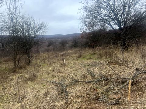 участок по адресу Гайдош