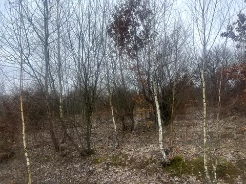 участок по адресу Гайдош