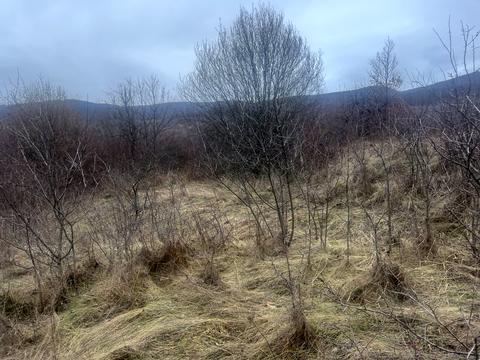 участок по адресу Гайдош