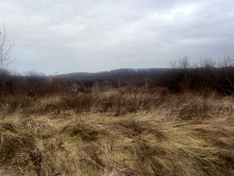 участок по адресу Гайдош