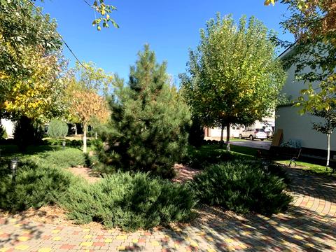 дом по адресу Ясна ул., 12